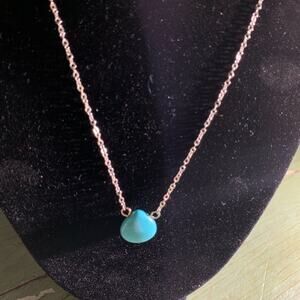 NWT TURQUOISE BRIOLETTE NECKLACE SILVERTONE CHAIN